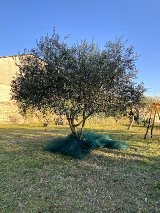 Le Nomade En Provence Bed & Breakfast Bouchet  Eksteriør bilde