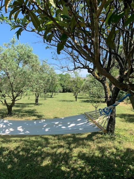 Le Nomade En Provence Bed & Breakfast Bouchet  Eksteriør bilde