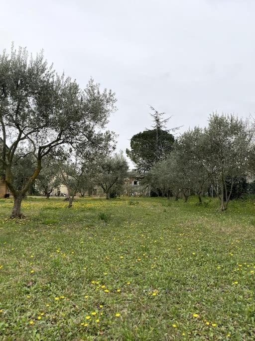 Le Nomade En Provence Bed & Breakfast Bouchet  Eksteriør bilde