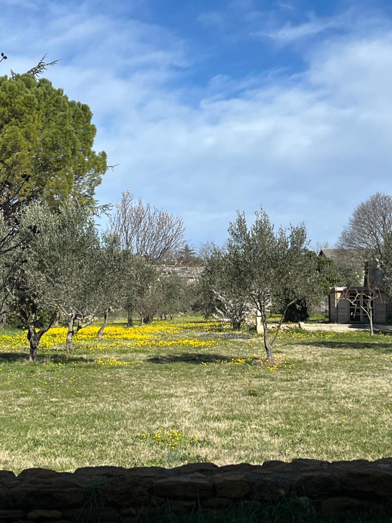 Le Nomade En Provence Bed & Breakfast Bouchet  Eksteriør bilde